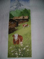 /album/galleria-fotografica/dsc00504-jpg/