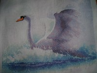 /album/galleria-fotografica/dsc00506-jpg/