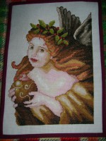 /album/galleria-fotografica/dsc00507-jpg/