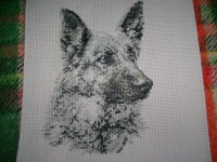 /album/galleria-fotografica/dsc00515-jpg/