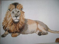 /album/galleria-fotografica/dsc00516-jpg/