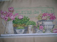 /album/galleria-fotografica/dsc00524-jpg/