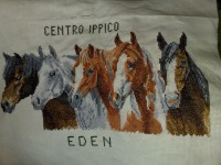 /album/galleria-fotografica/cavalli-jpg/